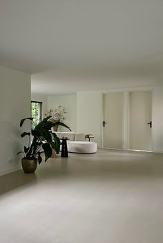 a living room with a plant in the center and white furniture on the other side