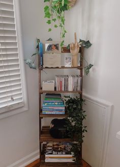 a bookshelf filled with lots of books next to a potted plant on top of a hard wood floor