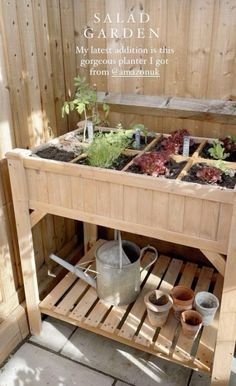 an outdoor garden with potted plants and gardening tools