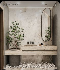 a bathroom with a sink, mirror and potted plant