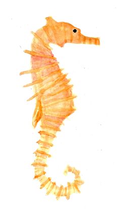 a watercolor drawing of a seahorse on a white background with the letter s in it's center