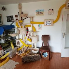 a living room filled with furniture and lots of clutter on the wall next to a cat tree