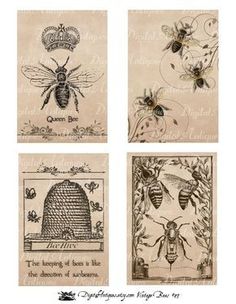 four bee images with different designs on them