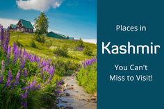 Places in Kashmir Serene Nature, Visit Places, Paradise On Earth, On Earth, Paradise, Canning, Travel