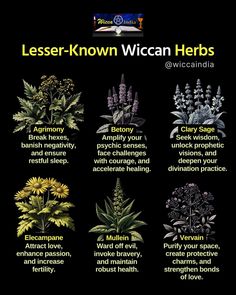 Wicca India School Of Magick & Occult Sciences | Unlock the hidden magick of these lesser-known herbs and enhance your practice! 🌿 Agrimony: Break hexes, banish negativity, and ensure… | Instagram Different Herbs And Their Uses, Basic Herbs For Witchcraft, Magical Herbs And Their Uses, Hexing Herbs, Herb Meanings, Magical Herbs Witchcraft, Witchy Herbs, Wicca Herbs, Psychic Senses