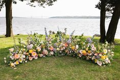 a bunch of flowers that are sitting in the grass near some water and tree's