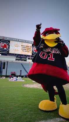 the mascot is dressed in black and red