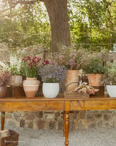 a wooden table topped with potted plants and vases on top of each other