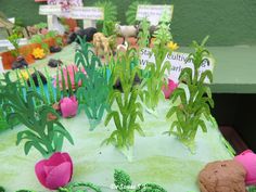 there are many plants and rocks on the table with name tags in them for sale