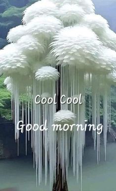 a white tree with icicles hanging from it's branches and the words cool, good morning