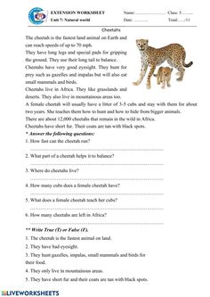 the cheetah worksheet is shown in this image