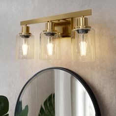 a bathroom light with three lights and a mirror on the wall next to a potted plant