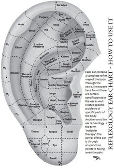 Ear Acupuncture, How To Relieve Headaches, Acupuncture Points, Acupressure Points, Alternative Health, Pressure Points