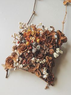 an arrangement of dried flowers and berries on a star shaped wall hanging ornament