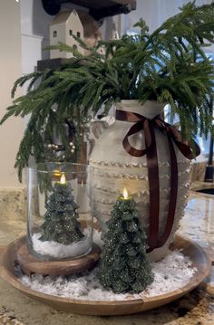 two christmas trees in glass vases on a tray