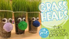 three glasses with grass heads in them on a table next to some green plants and the words grass heads