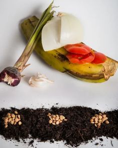 an arrangement of vegetables and dirt on a white surface, including bananas, onions, garlic, and tomatoes