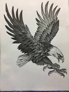 a drawing of an eagle flying in the sky