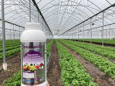 a person holding a bottle of liquid in a greenhouse