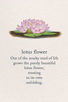 lotus flower with the words lotus flower on it's bottom and an image of a lily