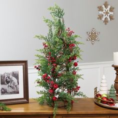 a small christmas tree sitting on top of a wooden table next to a framed photo