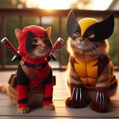 two cats dressed up as deadpool and wolverine