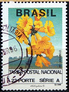 a stamp with yellow flowers on it and the words brasil written in spanish above them