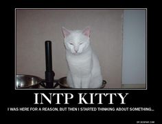 . Intp Funny, Mbti Type, Personality Growth, Myers Briggs Personality Types