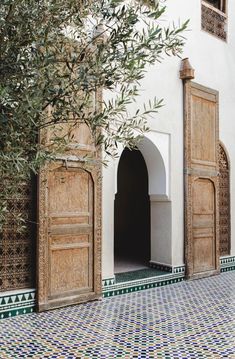 an olive tree in front of a white building with wooden doors and arched doorways