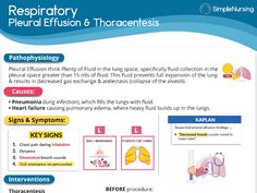 an info sheet describing the anatomy of the lungs and their functions in this text description