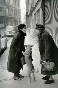 two women standing on the sidewalk with a dog in front of them and looking at each other