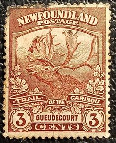 an old postage stamp with the image of a deer on it's head and three cents