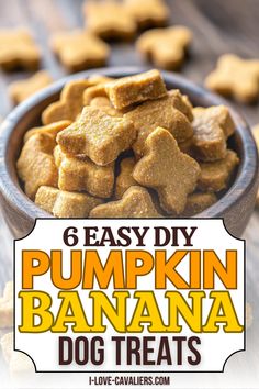 Pumpkin Baked Dog Treats, Pumpkin Oat Flour Dog Treats, Dog Treat With Pumpkin, Dog Treat With Banana, Doggie Pumpkin Treats, Simple Pumpkin Dog Treats, Pumpkin Cookies For Dogs Doggie Treats, Baked Dog Treats Recipes Pumpkin, Dog Treat Recipes For Sensitive Stomachs