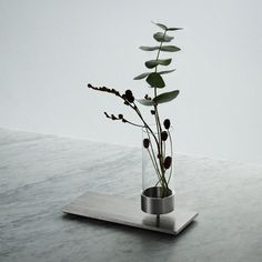 a plant in a glass vase sitting on top of a metal stand next to a white wall