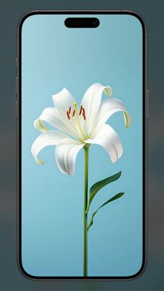 an image of a white flower on a cell phone with blue sky in the background