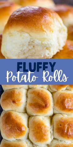 fluffy potato rolls on a baking sheet with the title above it