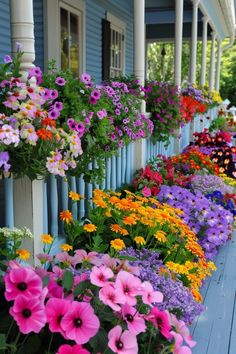 colorful flowers line the side of a blue house