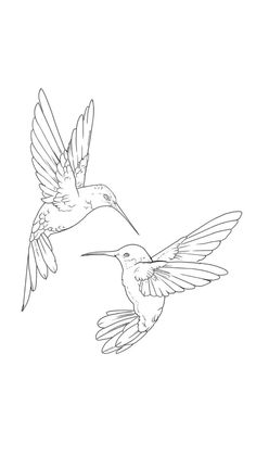 two hummingbirds flying in the sky with their wings spread out and facing each other