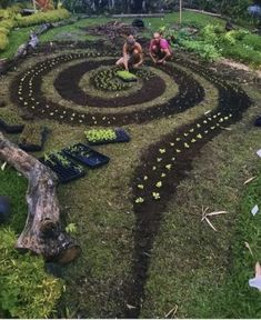 two people kneeling down in the middle of a garden with plants growing on top of it