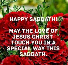 some red flowers with the words happy sabath may the love of jesus christ touch you in a special way this sabath