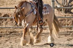 a man riding on the back of a brown horse next to a metal fence and dirt ground