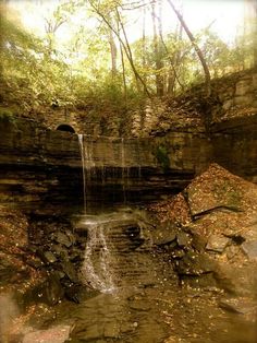 a small waterfall in the middle of a forest with lots of leaves on the ground