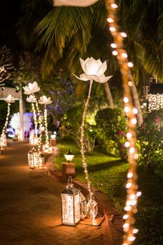 lighted lanterns are lined up along the path in front of palm trees and flowers at night