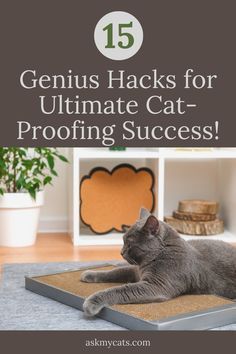 a cat laying on top of a mat with the words genius hacks for ultimate cat proof