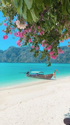 a boat sitting on top of a sandy beach next to the ocean with pink flowers