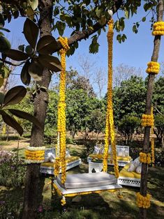 yellow flowers are hanging from the branches of trees in an outdoor area with white benches