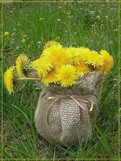 a bag full of dandelions sitting in the grass