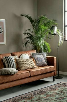 a living room filled with furniture and a large potted plant