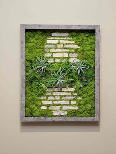 a moss covered wall with some plants in the middle and white bricks on it's sides