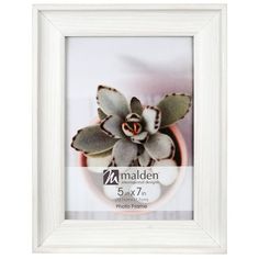 a white frame with a flower in it